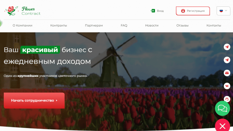 Вся информация о компании Flower Contract