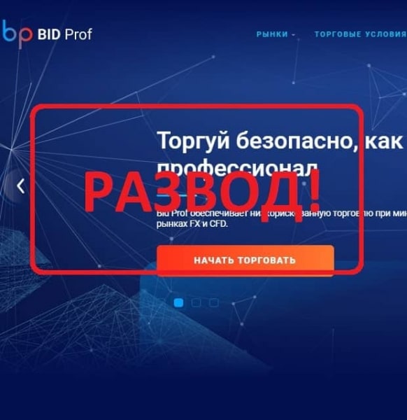 Bid Prof отзывы клиентов — компания bidprof.com - Seoseed.ru