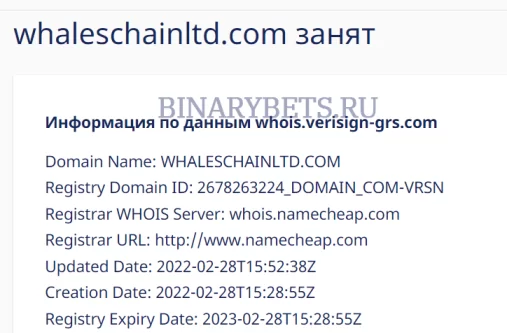 Whaleschainltd – ЛОХОТРОН. Реальные отзывы. Проверка