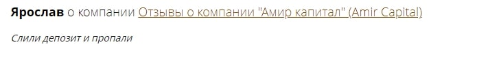 Amir Capital: отзывы вкладчиков, обзор маркетинга