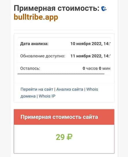 Bull Tribe — снова развод и сразу на 1000 долларов? Не стоит сотрудничать? Отзывы.