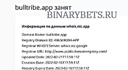 Bull Tribe — снова развод и сразу на 1000 долларов? Не стоит сотрудничать? Отзывы.