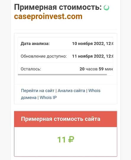 Case Pro Invest: очередной лохотрон или компания, с которой можно сотрудничать?