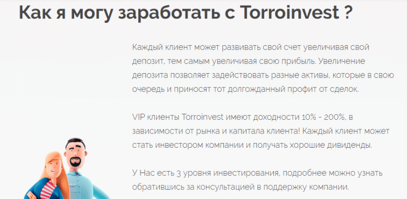 Можно ли заработать с Torroinvest? Детальный обзор компании с отзывами