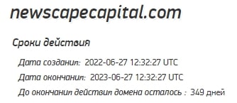 Newscape Capital: отзывы о работе компании