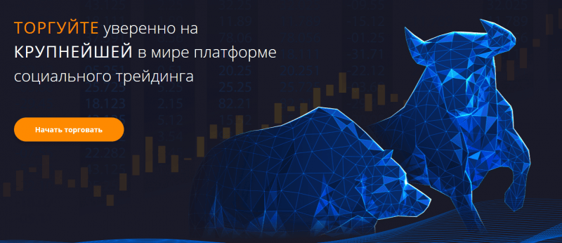 Обзор CFD-брокера Lion Trade Online: механизмы работы и отзывы клиентов