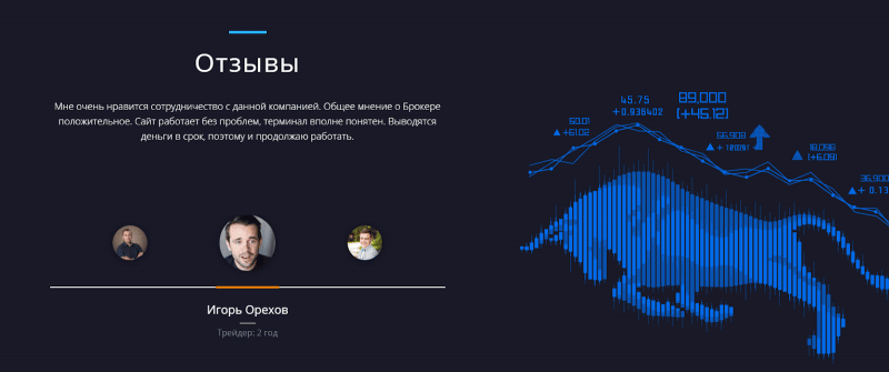 Обзор CFD-брокера Lion Trade Online: механизмы работы и отзывы клиентов