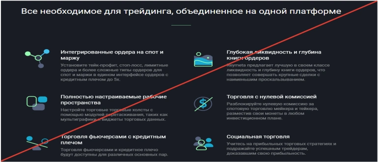 Reymeta отзывы о проекте