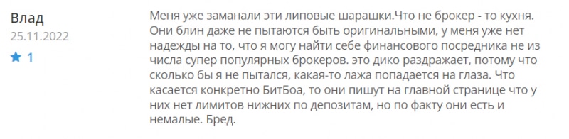 BitBoa — очередной мутный проект и скорее всего лохотрон и развод. Остерегаемся! Отзывы.