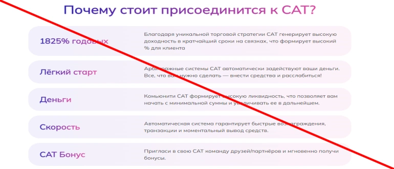 Crypto arbitrage team cat отзывы