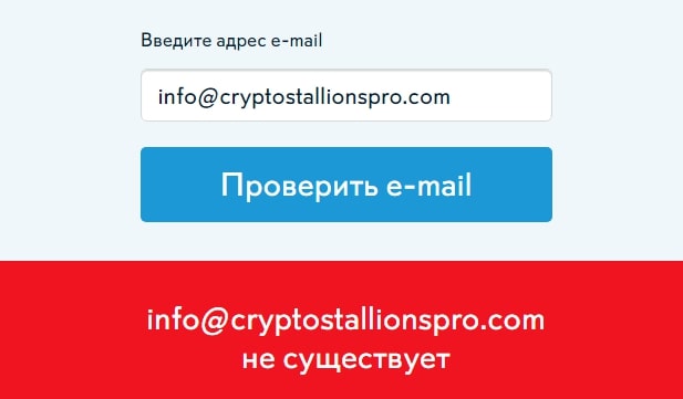 Crypto Stallions Pro: отзывы о компании и обзор ее деятельности