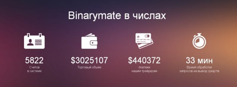 Детальный обзор Binarymate: условия сотрудничества, отзывы