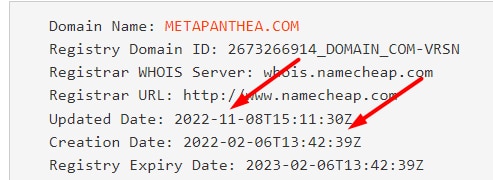 Metapanthea — очередной клон и лохотрон? Новый криптопроект или развод? Отзывы.