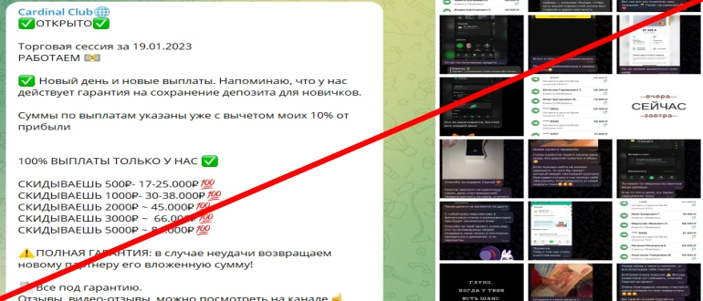 Cardinal club отзывы — телеграмм канал