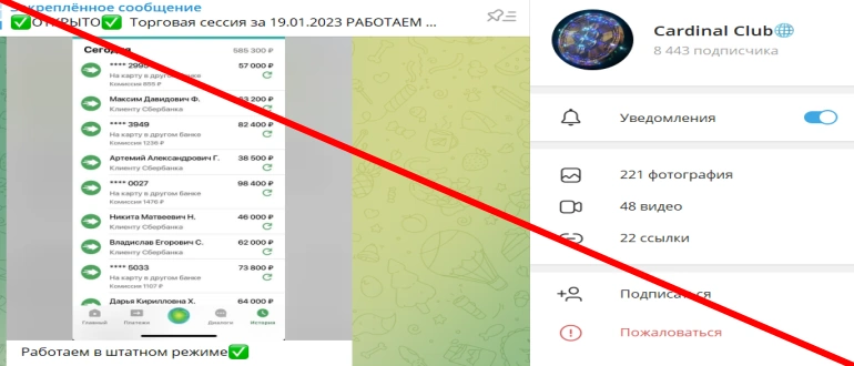 Cardinal club отзывы — телеграмм канал