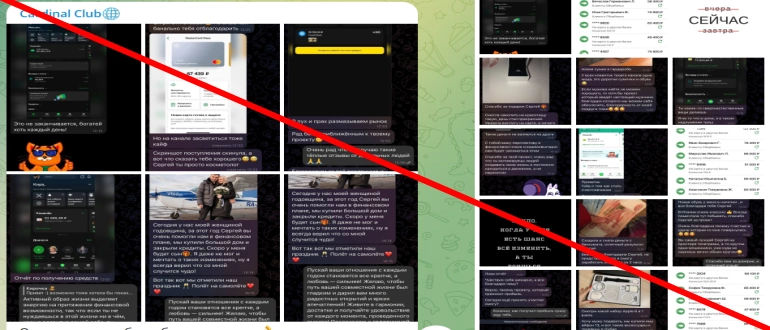 Cardinal club отзывы — телеграмм канал