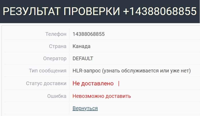 TNT Royal: отзывы клиентов и подробный обзор условий торговли