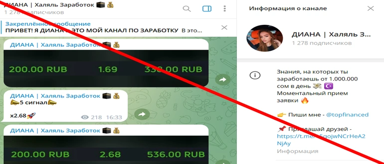 Халяль заработок в интернете отзывы – Диана
