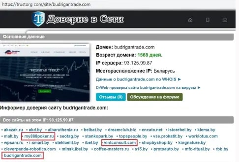 На какую оценку заслуживает Budrigan Trade: независимый обзор и отзывы