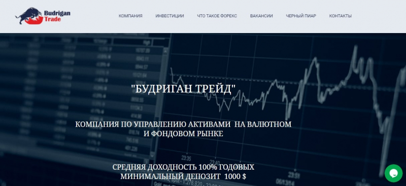 На какую оценку заслуживает Budrigan Trade: независимый обзор и отзывы