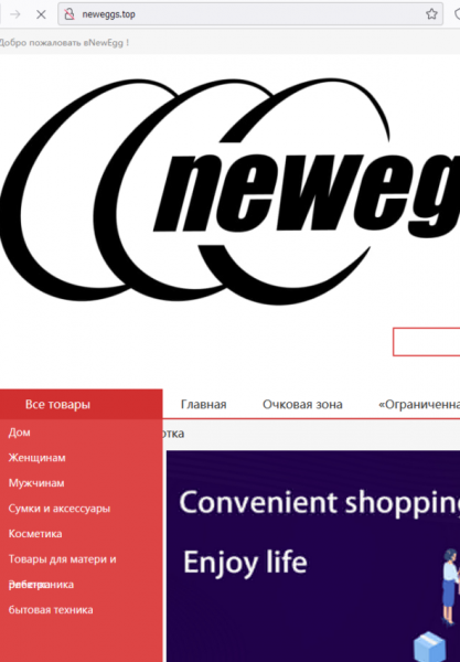 Отзывы о сайтах NewEgg (НьюЭгг), обзор мошеннического сервиса и его связей. Как вернуть деньги?