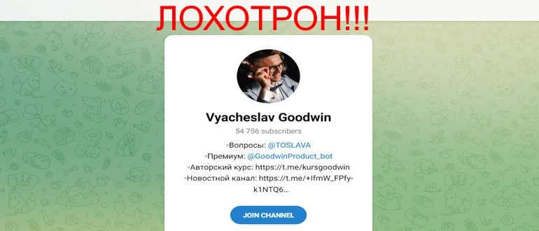 Vyacheslav goodwin отзывы