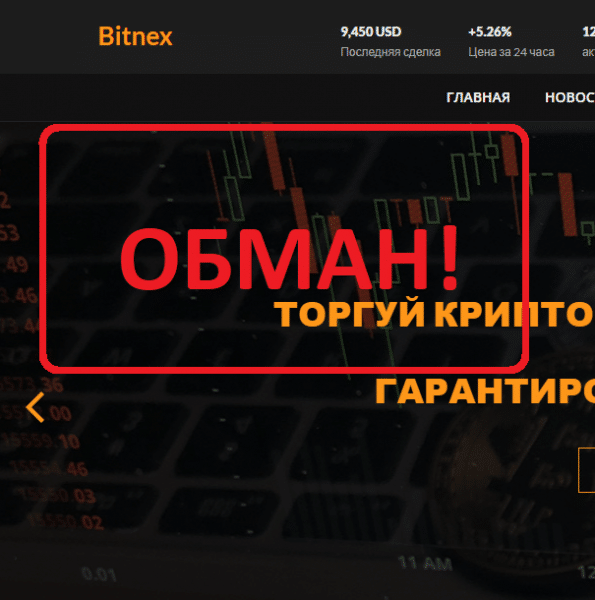 Bitnex отзывы о платформе — bit-nex.com - Seoseed.ru