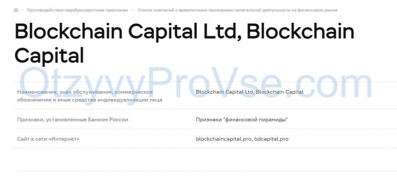 Blockchain Digital Capital: обзор компании-ХАЙПа. Есть ли опасность сотрудничества? Отзывы.