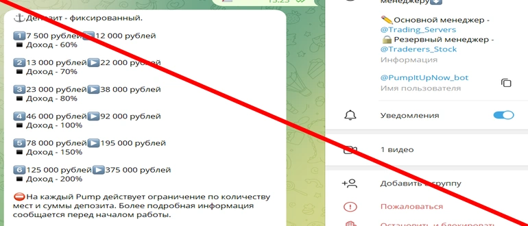 Pumpitupnow отзывы бот в телеграмме