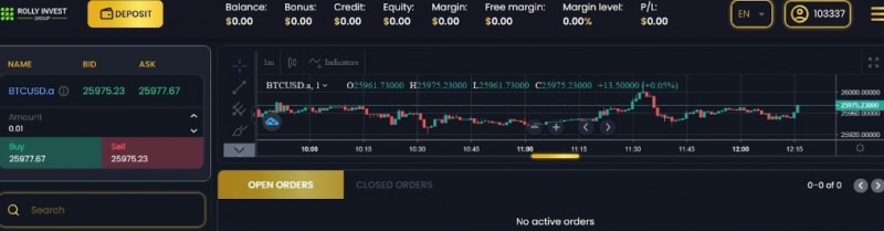 Rolly Invest Group (Ролли Инвест Групп):обзор работы брокера, отзывы клиентов. Как вернуть деньги?