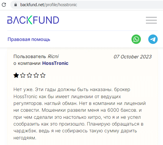 Отзывы о брокере Hoss Tronic (Хосс Троник), обзор мошеннического сервиса и его связей. Как вернуть деньги?