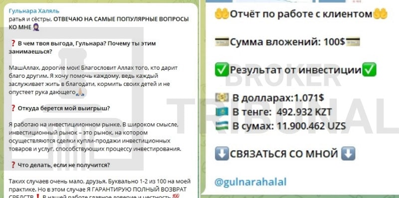 Как Telegram-аферистка Гульнара Халяль дурачит доверчивых инвесторов