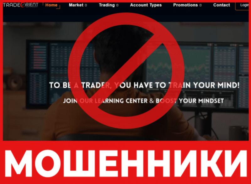 Брокер-мошенник Trade Orient – обзор, отзывы, схема обмана